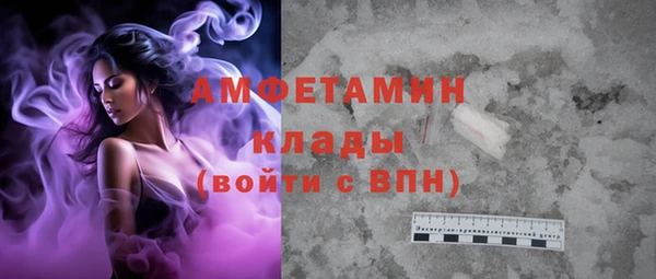 винт Лагань