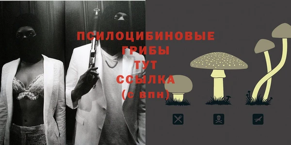 эйфоретик Алексеевка