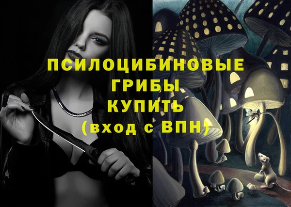 герыч Алзамай