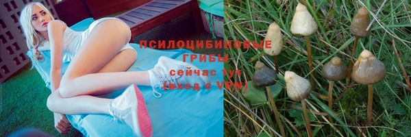 герыч Алзамай