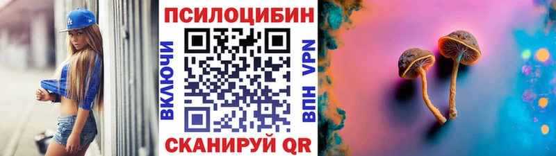 Галлюциногенные грибы прущие грибы  Спасск-Рязанский 