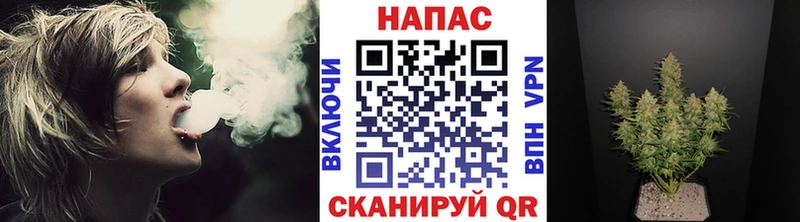 Шишки марихуана Amnesia Спасск-Рязанский